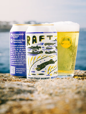 Introducing: Raft!